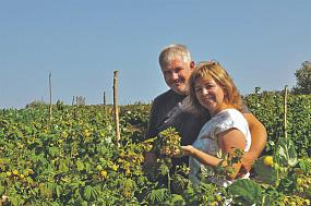 Нашего поля ягоды